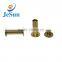 China custom good quality brass screws