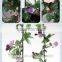 home fence decorative flower rattan artificial silk flower vine