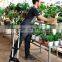 70kgs Folding Wagon