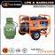Promotion!!!6kw LPG/gasoline generator home standby power