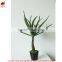 Foliage Ornamental Decorcative outdoor Bonsai Plants Wholesale Artificial Plant Manufacturing Plant