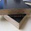 Poplar Core Black Film Faced Plywood 21MM