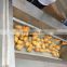 Industrial potato peeling machine/automatic potato peeler cleaner/walnut washing peeling machine