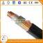 0.6/1kv copper xlpe insulated CWS CTS power cable 2xcy CABLE