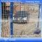 Anti-Climb Wire Mesh Fence/Power Coated Wire Mesh Fence (DH-Fence-W1)