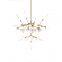Nordic Chandeliers Acrylic Decorative Pendant Lights For Hotel