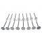 Free Shipping!Engine Intake & Exhaust Valve Kit For VW CC Golf Jetta AUDI Q3 A5 A6 06D109601M