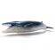 Non-Toxic Educational Factory Price PVC Animal Dinosaur Toys Balaenoptera Physalus Dino Simulation Dinosaur World