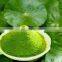 100% organic centella powder/pennywort powder for beauty skin/Herbal extract from Vietnam