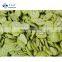 IQF Export bulk green brand fruit frozen fresh frozen kiwi