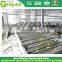 Professional cucumber pickles processing line