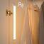 Ultra-thin Intelligent Human Body Sensing Wardrobe Light LED Long Strip Cabinet Light