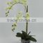 potted plant artificial white color orchid flowers