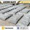 Natural White Mushroom Cultural Stone
