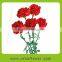 Reasonable price promotional classical long stem flowers fresh cut carnation