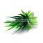 New Aquarium Artificial Aquatic Aloe Grass Plant Fish Tank Ornament Plant Decoration