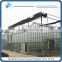 High Quality Venlo Steel Glass Greenhouse