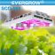 EverGrow 2016 Saga series Full Spectrum for Hydroponics plant hydroponic led