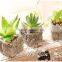 Factory Wholesale Decor Small Potted Succulent Plants Artificial Succulents Artificial Mini Succulents
