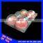 QS certificate luxurious dry apple fruit trays