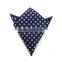 Blue Polkadot Twill Silk Pocket Square