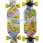 Hot sales in Europe and the mini skateboard fish plate cruiser PP board for adult and children