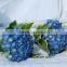 High Grade Fresh Flowers Hydrangea Import From China