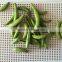 Supplying VF dried Green Bean Crisps for Hot Sale