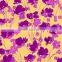 100% cotton printed fabric