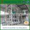 henan machine in sooji/wheat machine/wheat flour mill machine