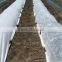 Anti-uv PP nonwoven fabric, uv treated agriculture cover, crop row cover