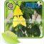 Fly glue trap