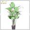 Large Wholesale Artificial Paradise Flowers Decorative Plastic Trees