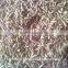 Cumin Seed