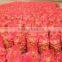 Export Quality Indian Fresh Red White Pink Onion