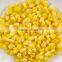 Canned corn canned baby corn