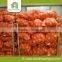Hot selling fresh sallot onion with low price