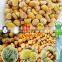 IQF Frozen Peeled Chestnut Castanea Sativa