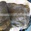 Dried kelp sheet, broad dried kelp leaves to conduct SPA treatments in beauty salons