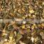 Vietnam branch-cut cassia, split cassia, best quality & good price by HAGIMEX