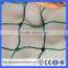 2m high 20*20mm Bird net for catching birds/Green anti bird netting(Guangzhou Factory)