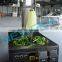 Neweek fruit and vegetable peeling machine/ pumpkin peeler machine