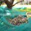 Collection Fruit Support Olive /cherry Packing Netting