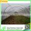 Hot Sale Commercial Plastic Tent Pests Net Design