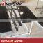 Newstar Chinese Zimbabwe Black Granite Countertop for Sale