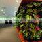 Environmental Protection Artificial Green Wall Succulent Plant Wall