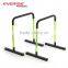Home Gym Parallel Bars/ Parallettes / Equalizer Dip Bars