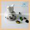 Aroma stone with aromatherapy oil diffuser