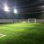 Artificial High-quality soccer Grass with stem fiber by wuxi greenlawn