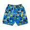 Customer Print Lattice Design Blue Kid Shorts